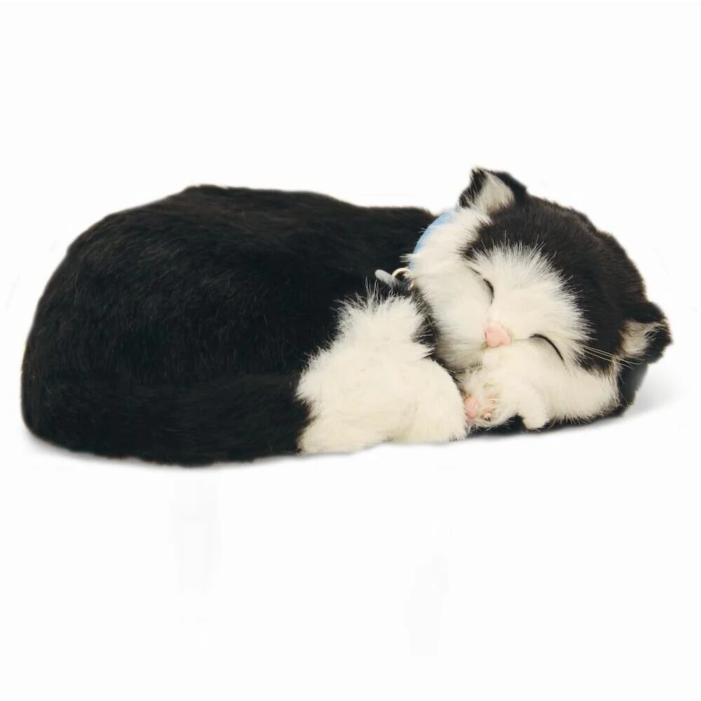 Precious Petzzz Cat - Image 2
