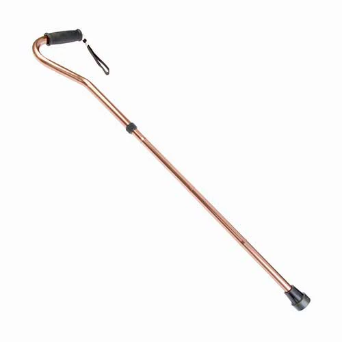 Swan Cane - Image 3