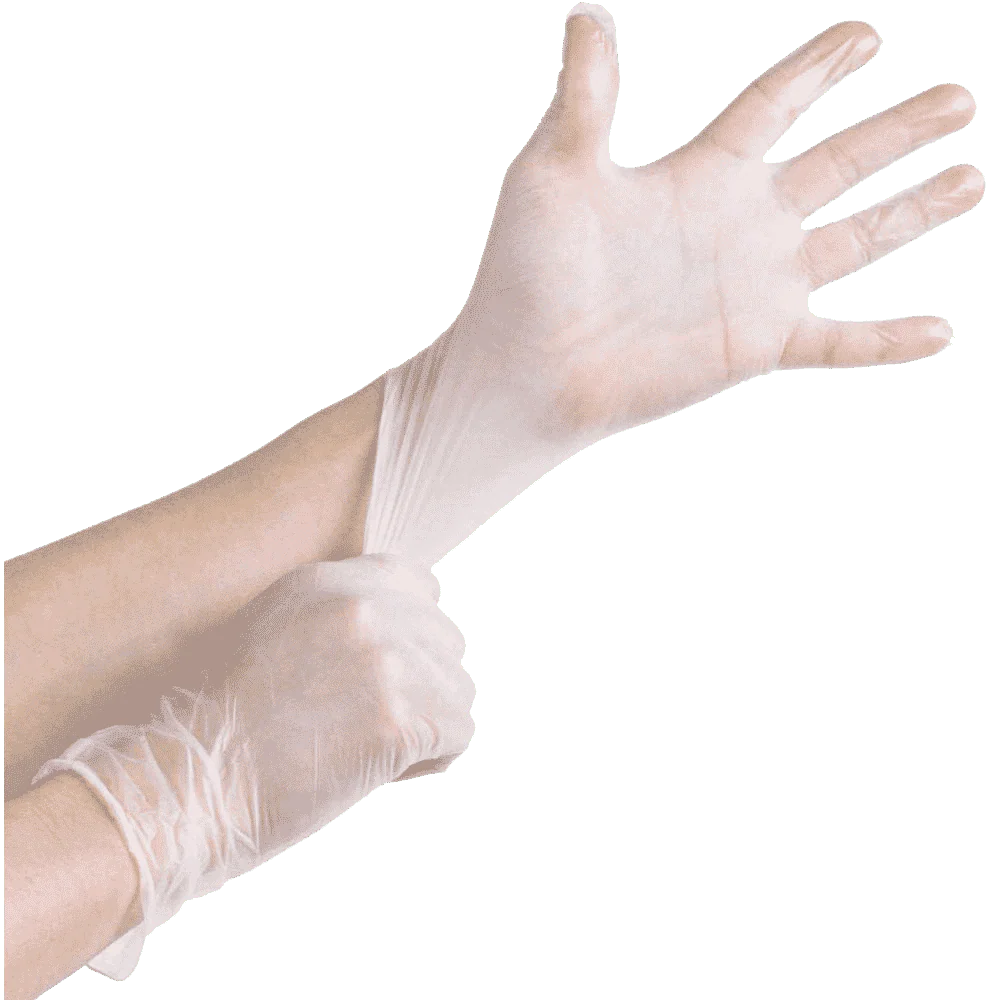 Powder Free Vinyl Gloves - Image 5